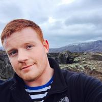 Отзыв от Максим - DTV виза